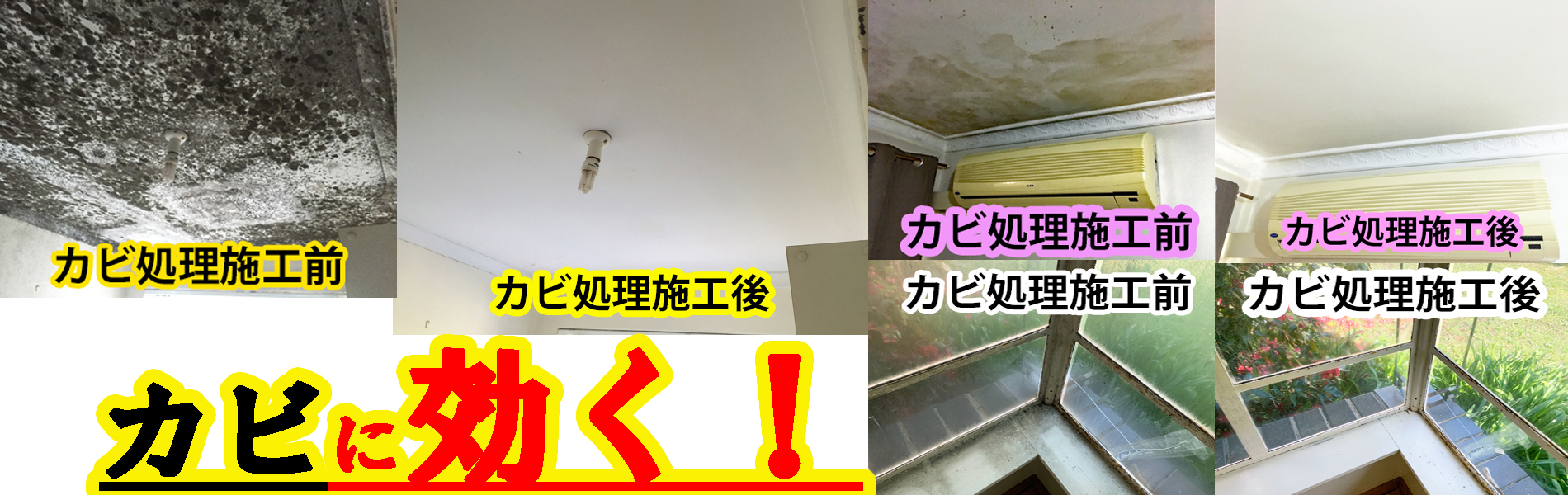 カビの問題を解決する光触媒NFE2